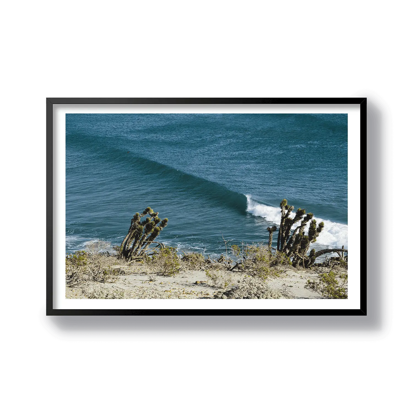 Yucca Point
