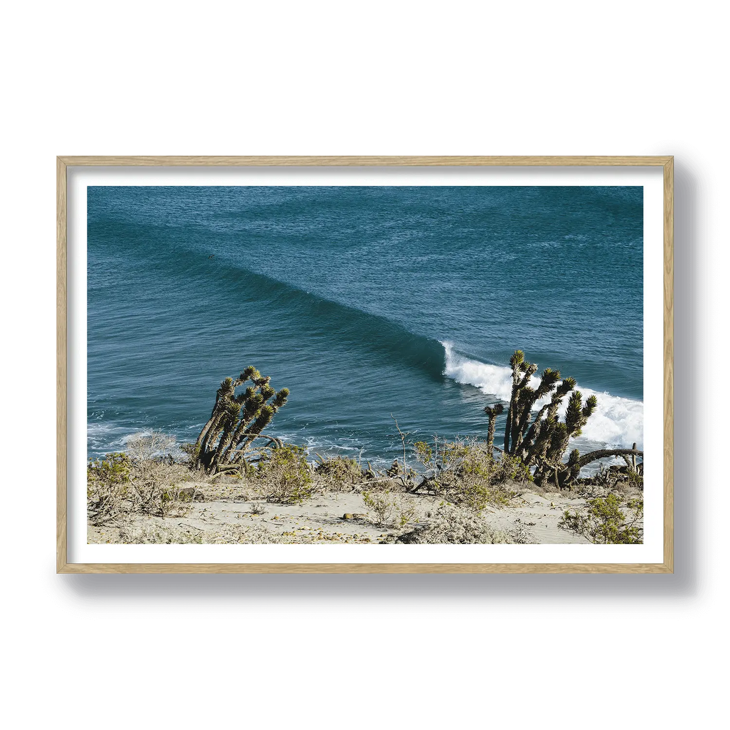Yucca Point