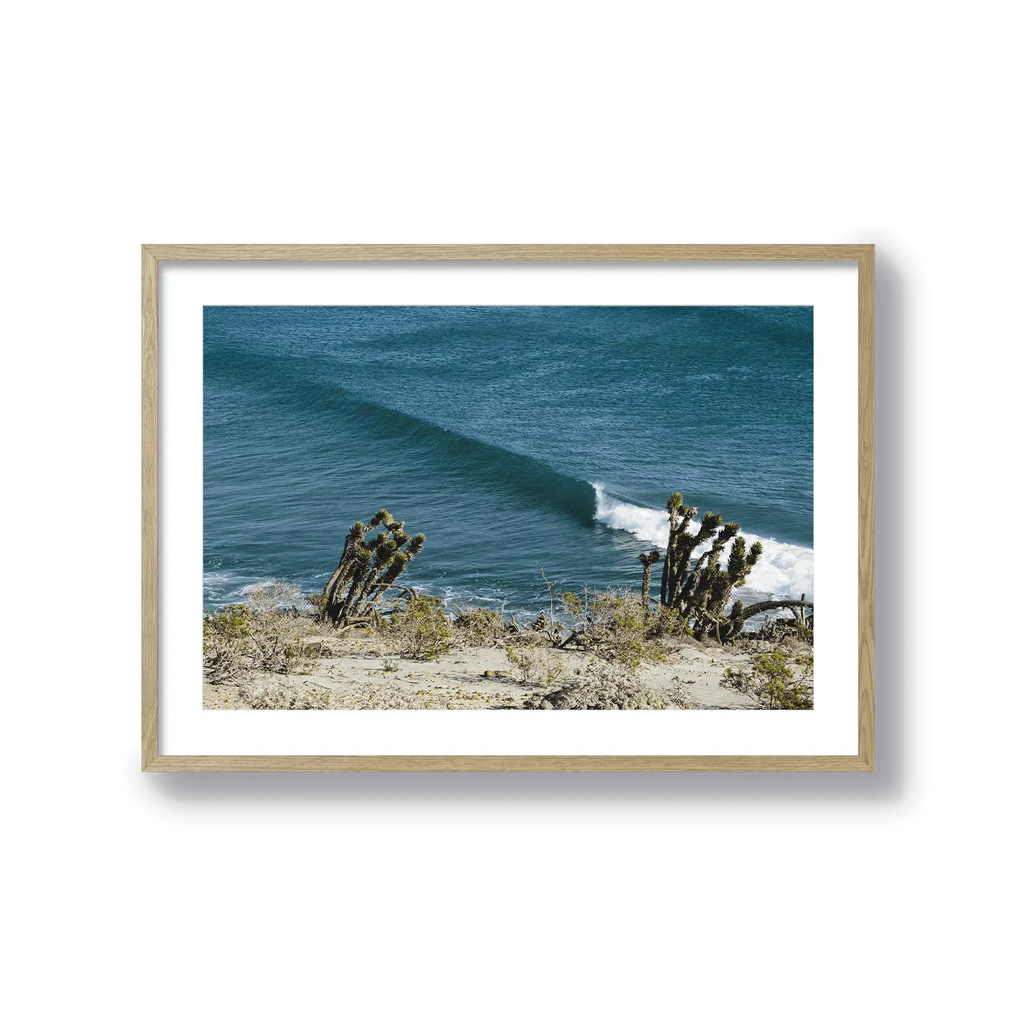 Yucca Point