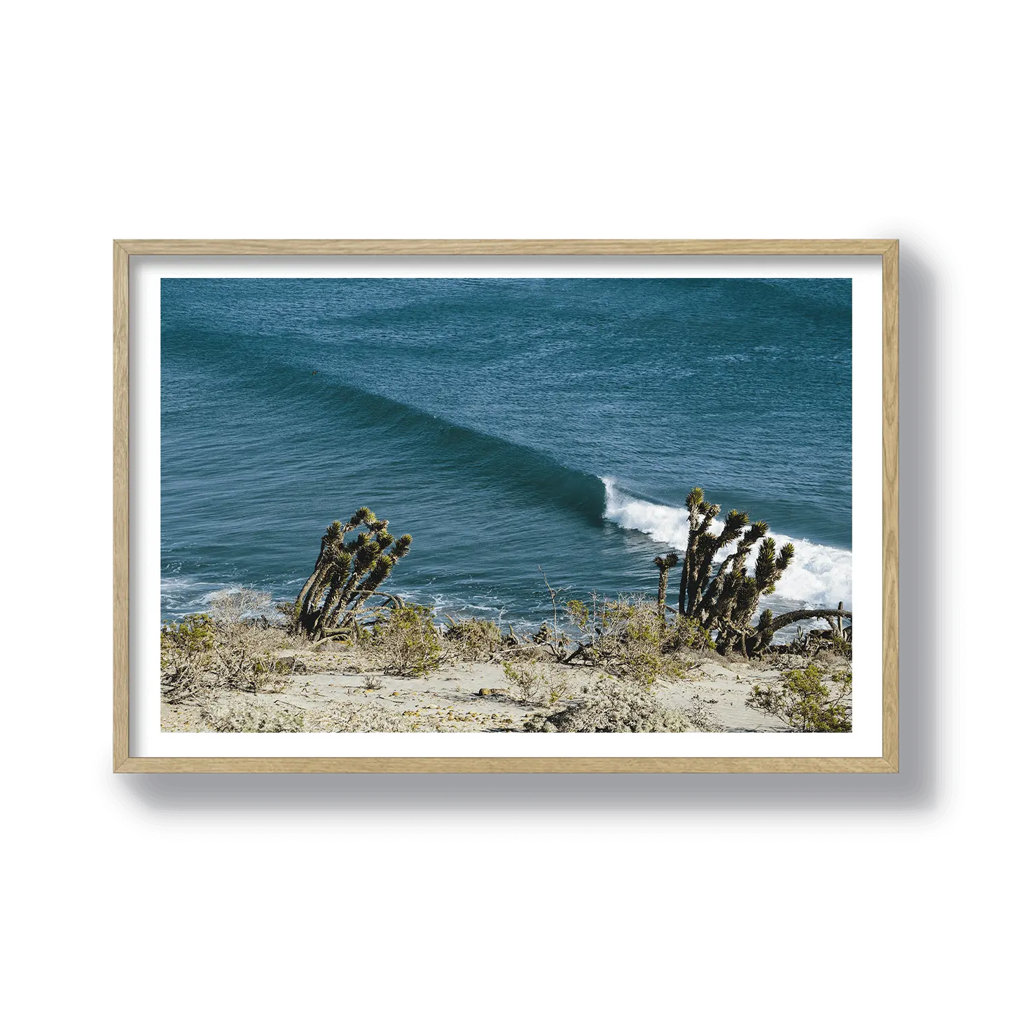 Yucca Point