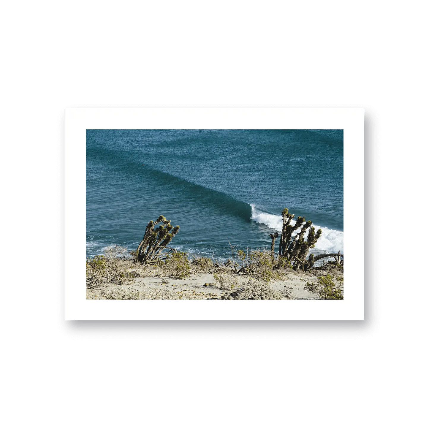 Yucca Point