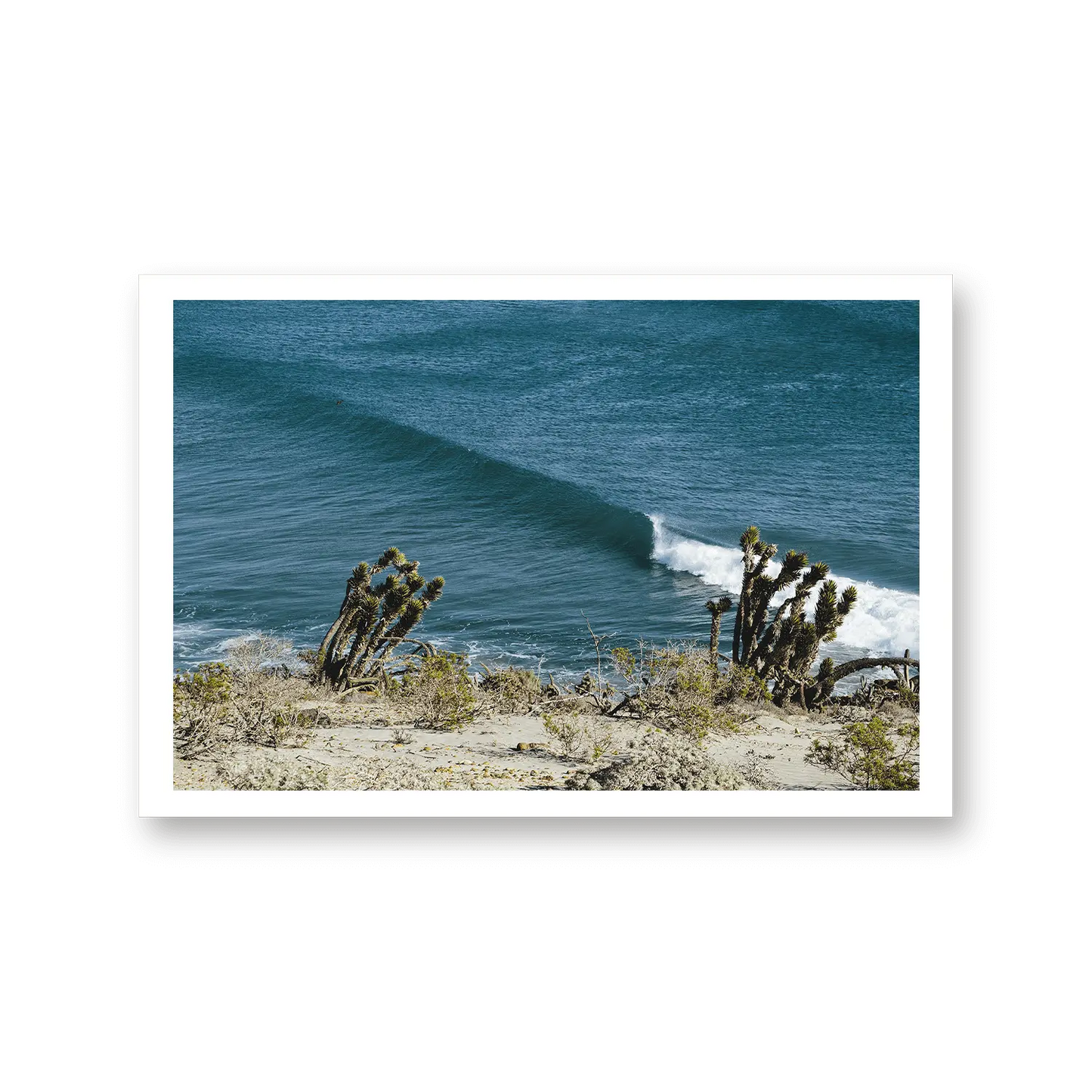 Yucca Point