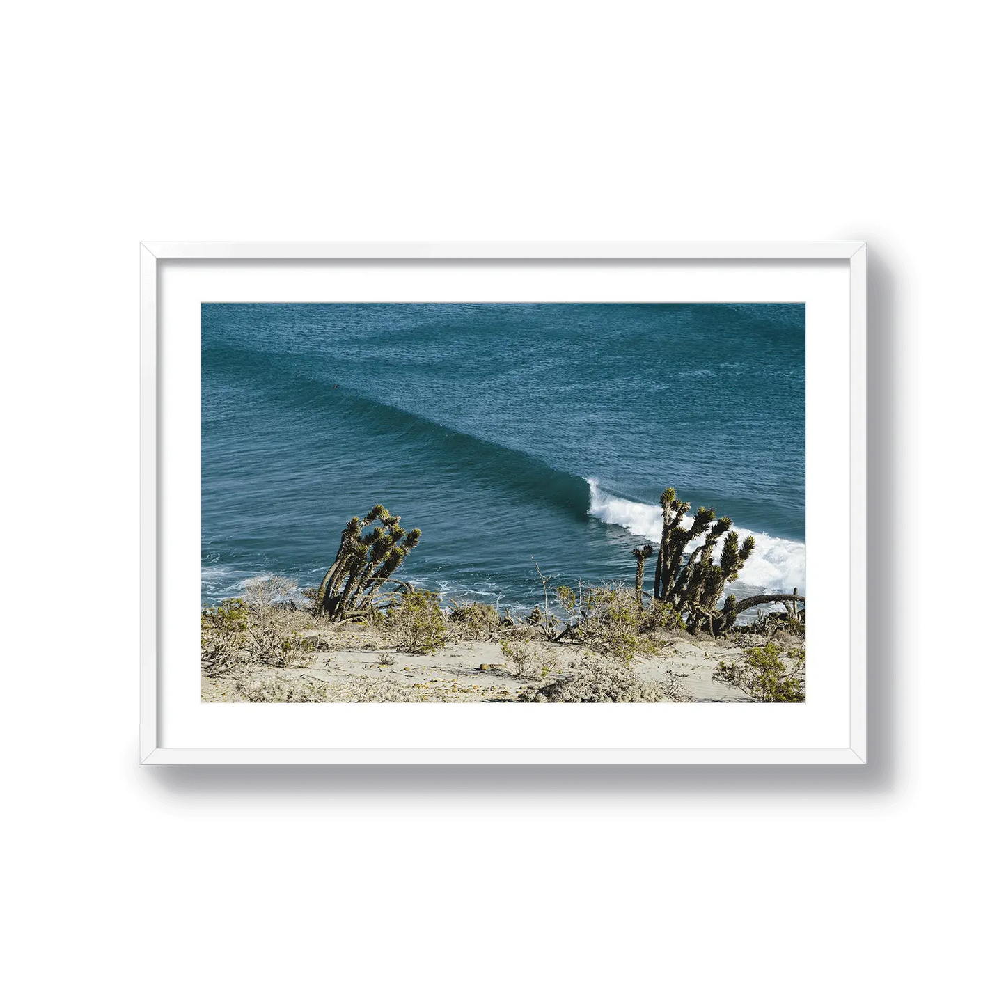 Yucca Point